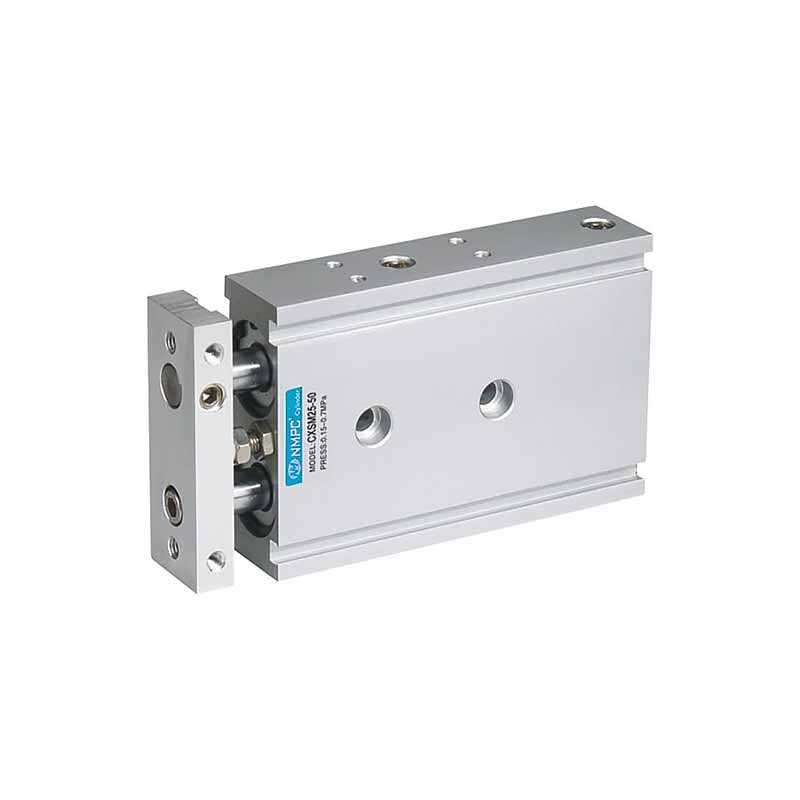 CXS Double Cylinder/Basic Type